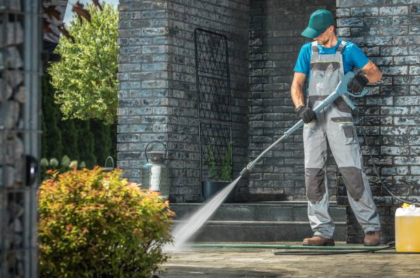 Best Roof Washing  in Lyford, TX