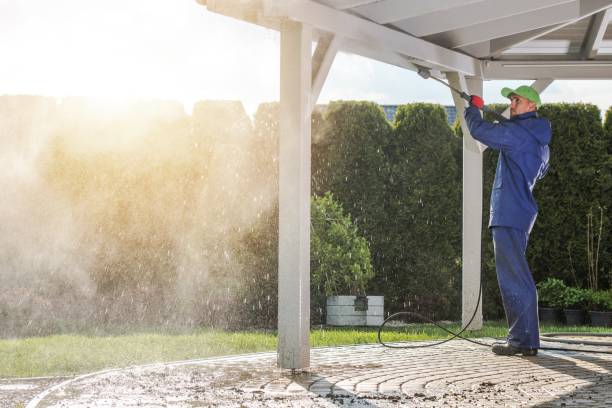 Solar Panel Cleaning in Lyford, TX
