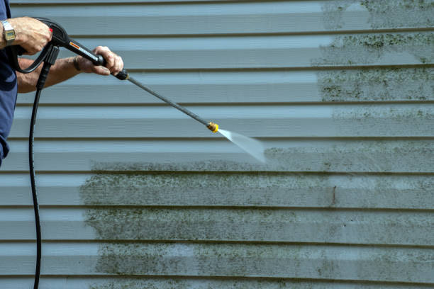 Best House Exterior Washing  in Lyford, TX