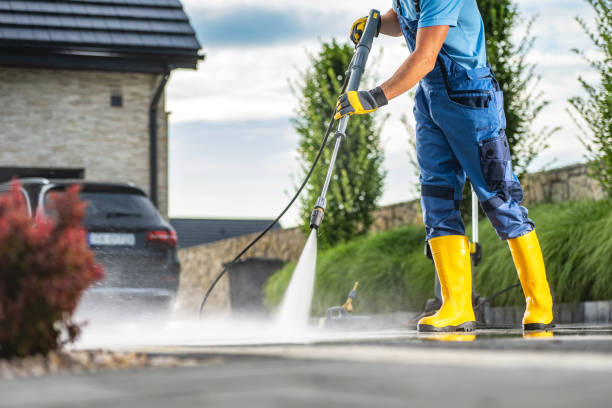 Best Gutter Cleaning  in Lyford, TX