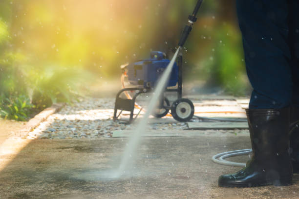 Best Driveway Pressure Washing  in Lyford, TX